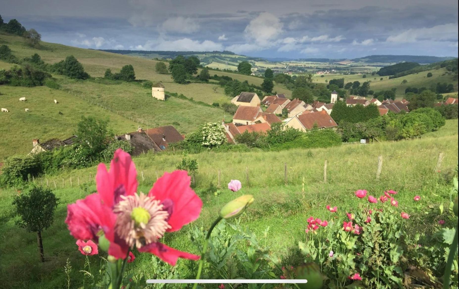 La Petite Maison Dans La Campagne Massingy-les-Vitteaux Ngoại thất bức ảnh